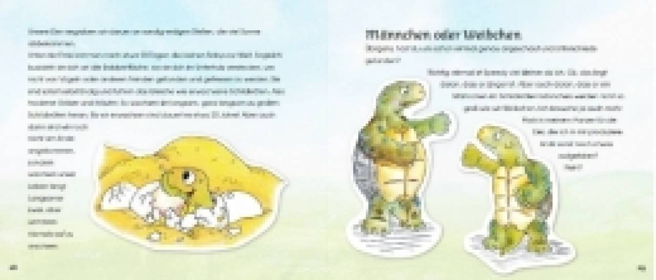 Griechische Landschildkröten - Das Erkundungsbuch für große und kleine Entdecker